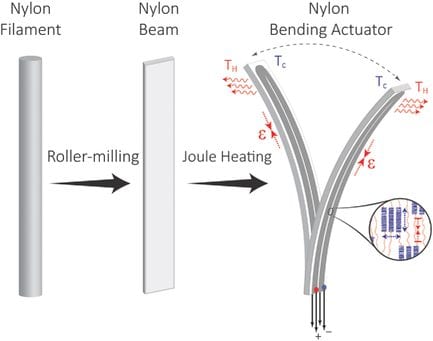 Nylon muscles bend it like…the guys from MIT