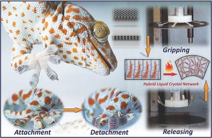 Gecko inspires pick-and-place gripper