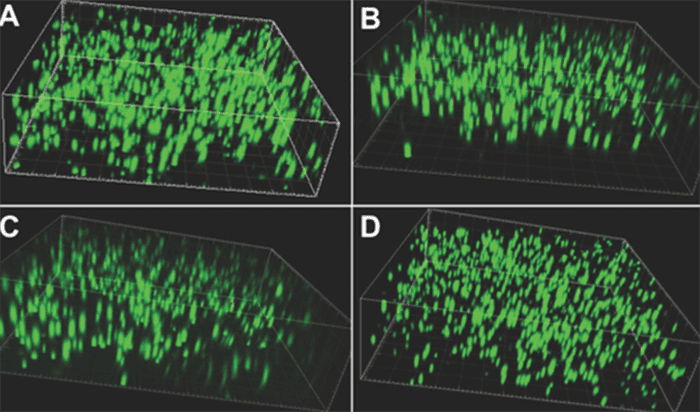 Smart hydrogels rapidly stop blood loss