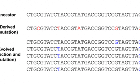 andrew moore bioessays Andrew moore (bioessays weinheim germany) optimise your chances of publication and recognition: see your paper from the “other” side wednesday march 14th. andrew moore bioessays Andrew moore (bioessays weinheim germany) optimise your chances of publication and recognition: see your paper from the “other” side wednesday march 14th.