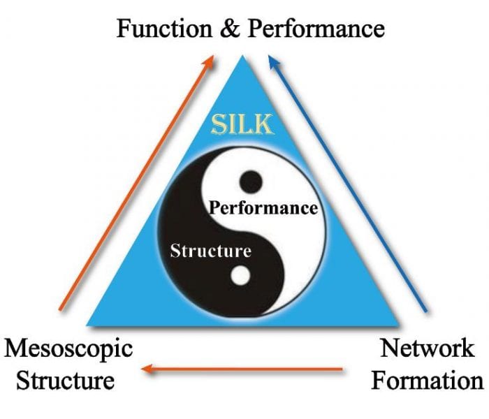 Programing Performance of Silk Fibroin Materials by Controlled Nucleation