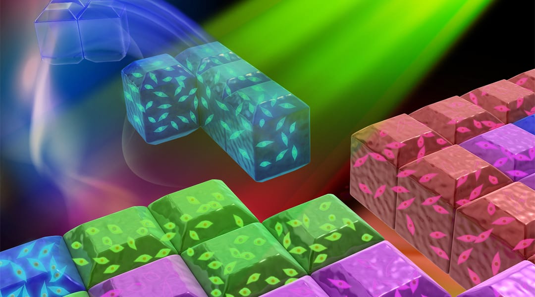 Tissue Tetris – A New Microscale Tissue Assembly Method