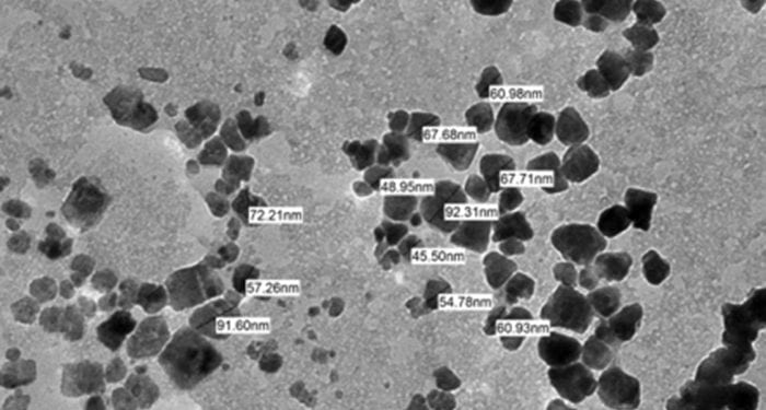 Immune response to starch-based nanoparticles: advantage or disadvantage?