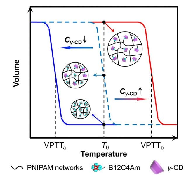 Gamma-Cyclodextrin-Recognizable Hydrogels