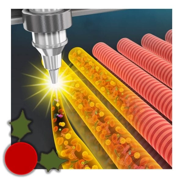 December 1 – 3D Cell Printing of Functional Skeletal Muscle Constructs Using Skeletal Muscle-Derived Bioink, published in Advanced Healthcare Materials