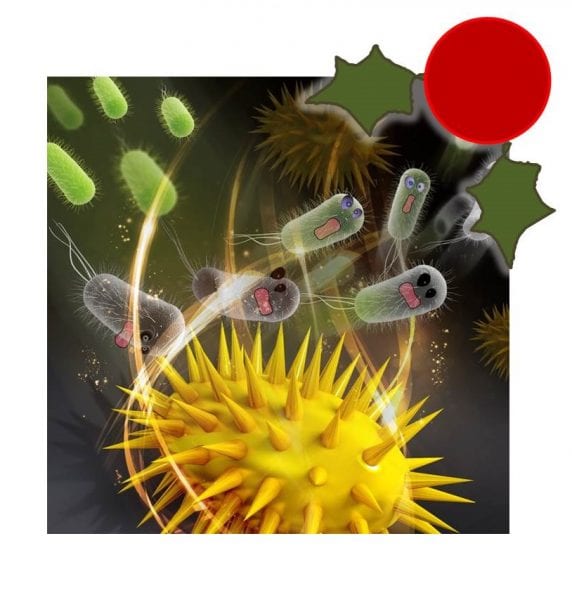 December 5 – Spatio-Design of Multidimensional Prickly Zn-Doped CuO Nanoparticle for Efficient Bacterial Killing, published in Advanced Materials Interfaces