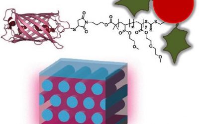 December 7 – Kinetic Effects on Self-Assembly and Function of Protein–Polymer Bioconjugates in Thin Films Prepared by Flow Coating, published in Macromolecular Rapid Communications