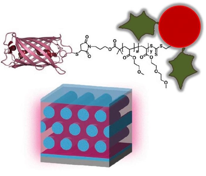 December 7 – Kinetic Effects on Self-Assembly and Function of Protein–Polymer Bioconjugates in Thin Films Prepared by Flow Coating, published in Macromolecular Rapid Communications