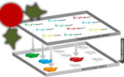 December 9 – Integrating transcriptome and proteome profiling: Strategies and applications, published in Proteomics