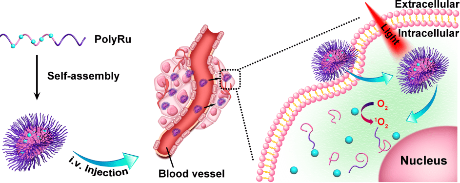 Ruthenium-Containing Polymetallodrug for Anticancer Treatment