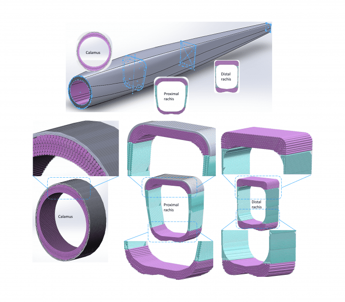 Inspired by Nature – Advanced Engineering Designs