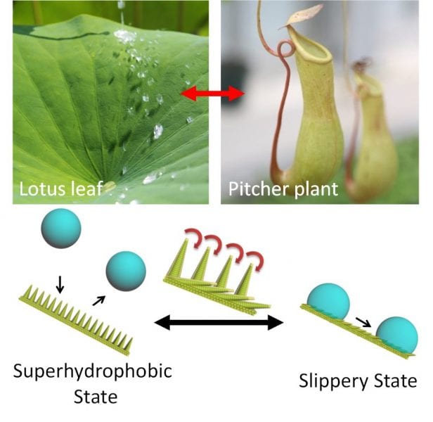 Switching Liquid Repellent Surfaces