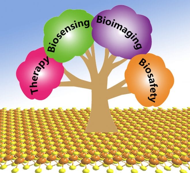 Transition Metal Dichalcogenides: The Future of Bio-Applications of Two Dimensional Materials