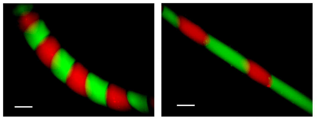 The Missing Link: 3D Bioprinting with Non-Viscous Inks