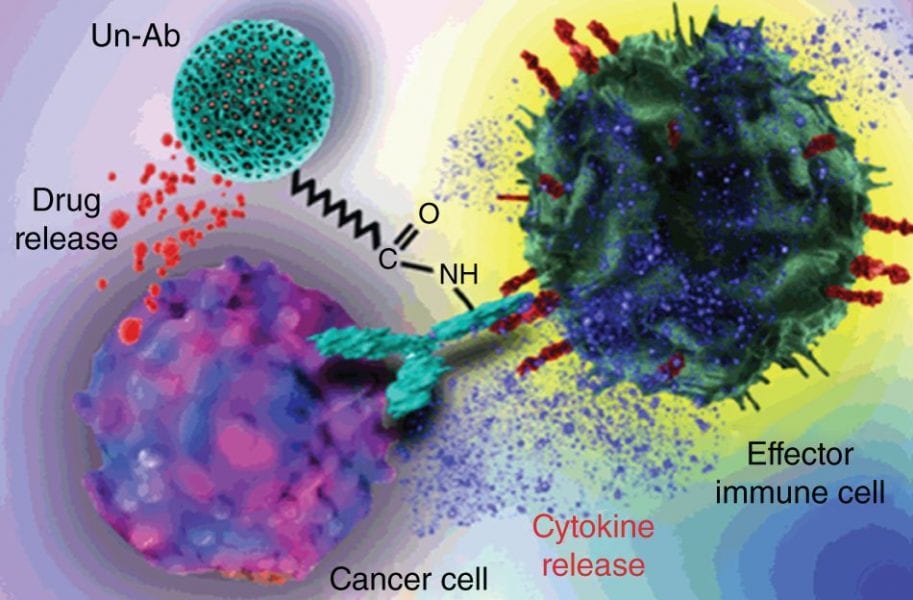 Cancer Immunotherapy and Nanotechnology: Taking the Best from Two Worlds