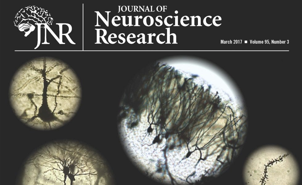 The Corticolimbic System in Health: Implications for Learning, Memory and Disease