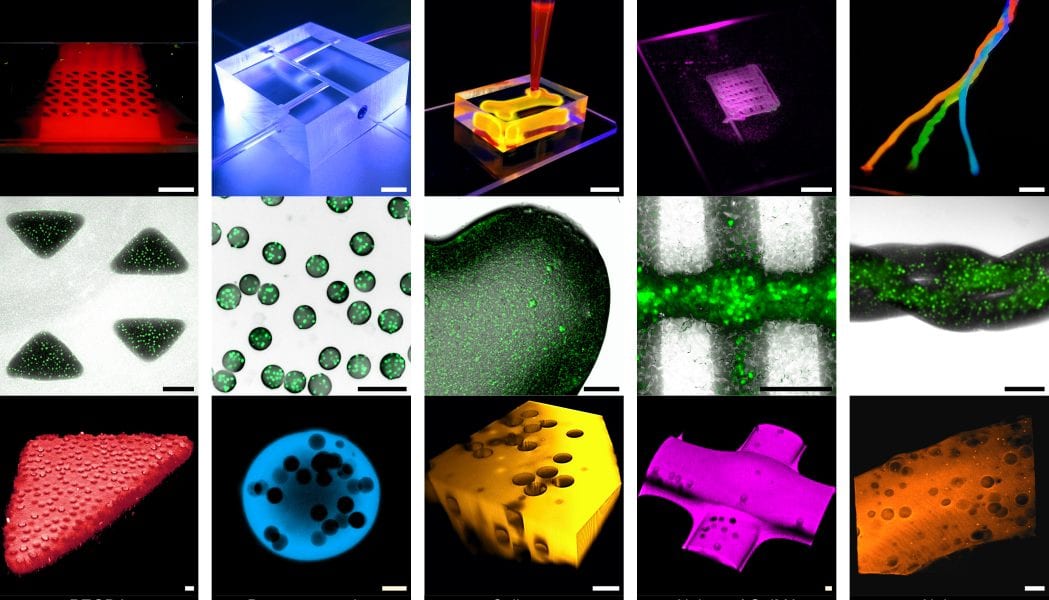 Tiny Bricks of Single Cells for 3D Synthetic Tissue