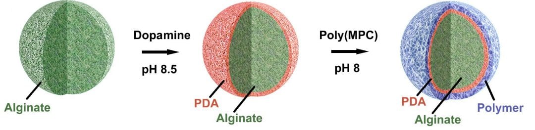 Zwitterionic Surface Coatings for Implantable Biomaterials