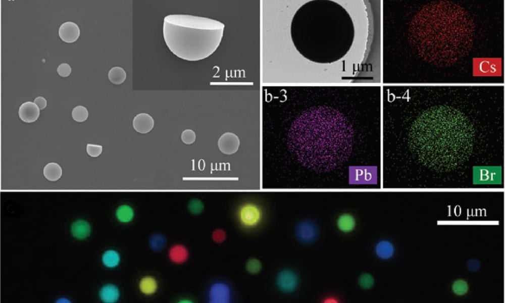 Water-Resistant Multicolored Bioimaging Probes