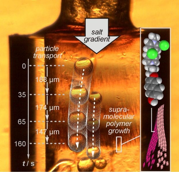 Salt Drives Directional Particle Transport