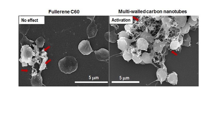 The Effects of Nanomaterials on Blood Coagulation in Hemostasis and Thrombosis