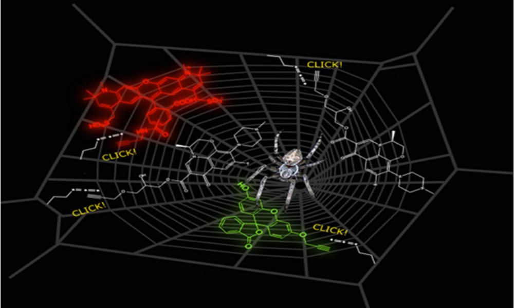 Antibiotic Spider Silk in Just One Click