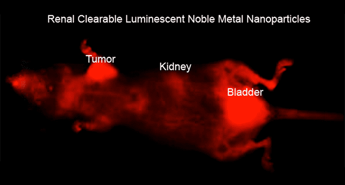 Renal Clearable Noble Metal Nanoparticles