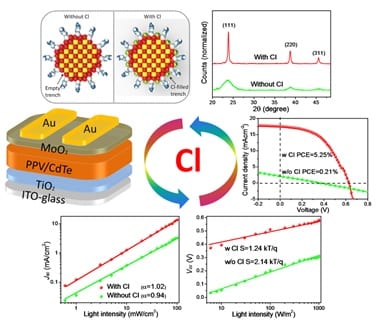 The Functions of Chlorine in Aqueous-Processed High-Performance Polymer/CdTe Hybrid Solar Cells