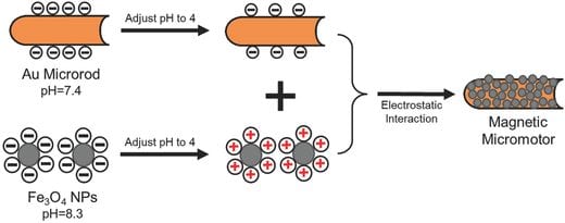 Particle Micromotors