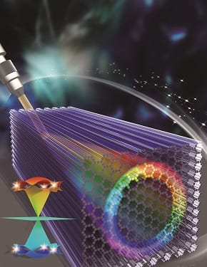 Super-Honeycomb Lattice – a Hybrid Fermionic and Bosonic System