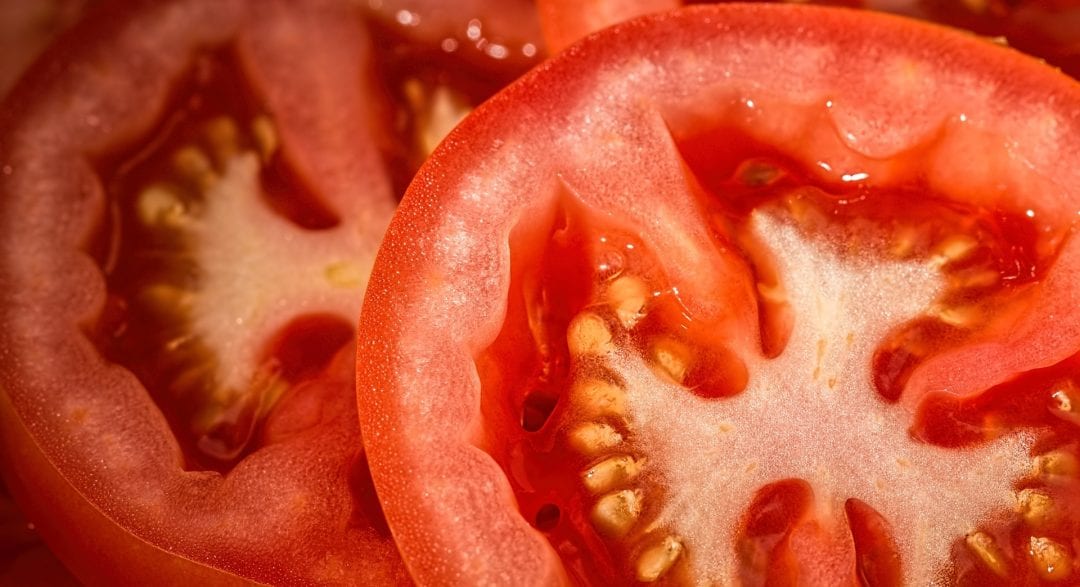 Cut tomatoes showing the pericarp