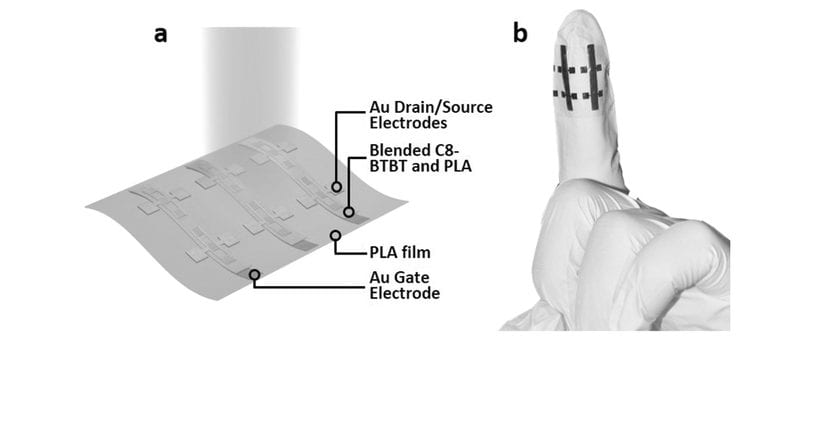 Flexible Phototransistors from the Printer