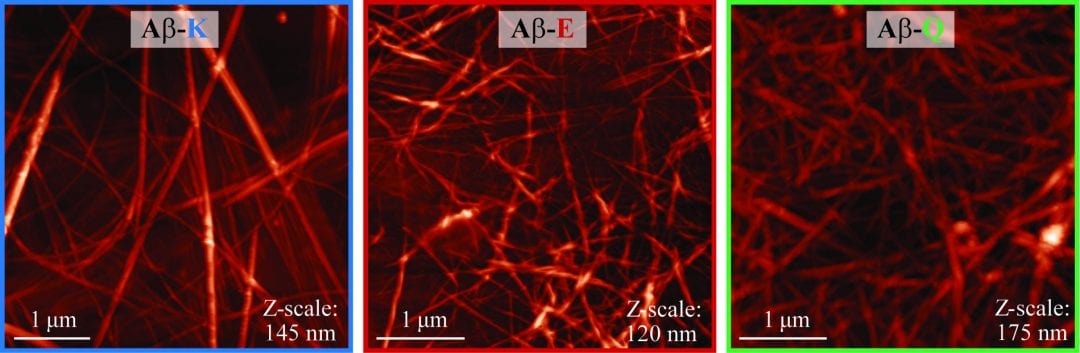 Just a Pinch of Base or Acid: Enhancing Proton Transport in Peptide Fibrils