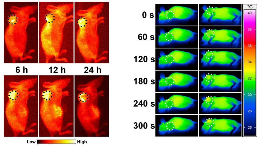 Nitric Oxide assisted cancer therapy