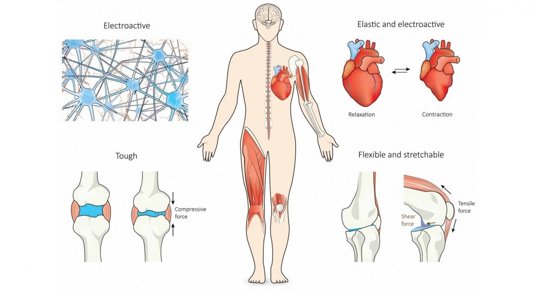 Nanocomposite Hydrogels for Load-bearing and Electroactive Tissue Replacement