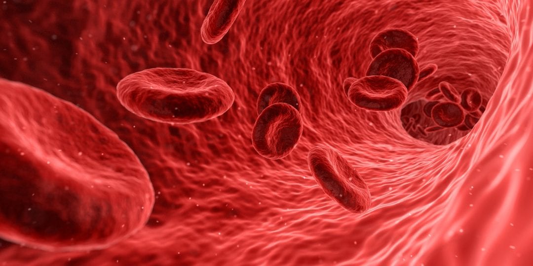 Blood-Detox with Red Blood Cell Microreactors