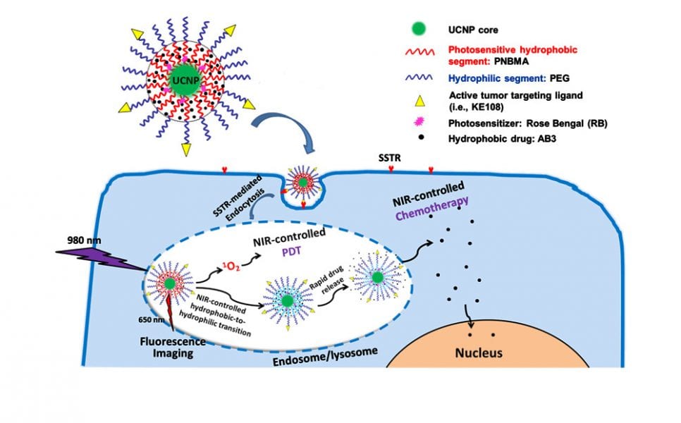 The Jack-of-all-Trades for Neuroendocrine Tumor Therapy