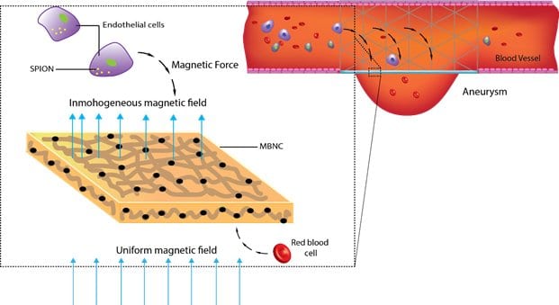 Magnetic Healing of Brain Injury