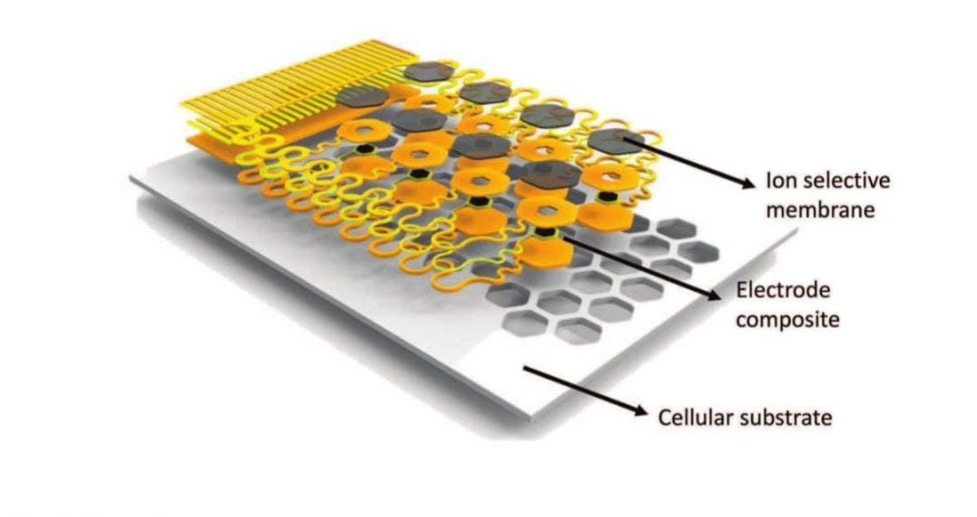 Stretchable Sensors for Biofluids