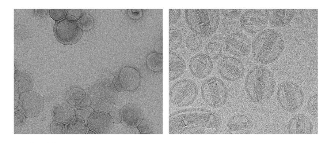 Be Prepared: Use and Misuse of Sample Preparation Techniques for TEM