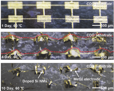 Now You See It, Now You Don’t: Self-Destructing Electronics