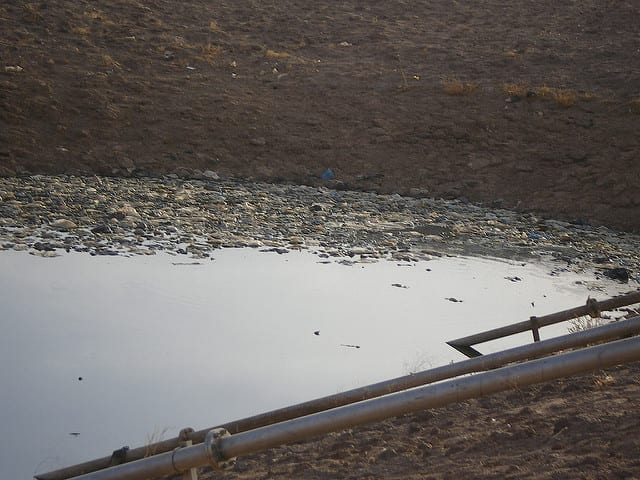 Polymer Foam Turns Landfill Waste into a Breath of Fresh Air