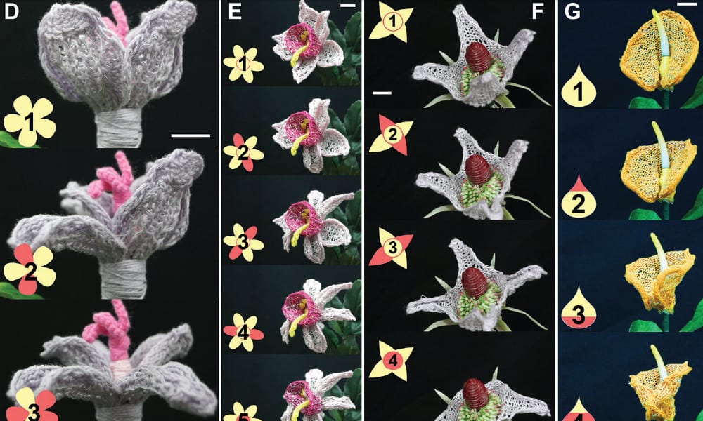 Blooming Knit Flowers