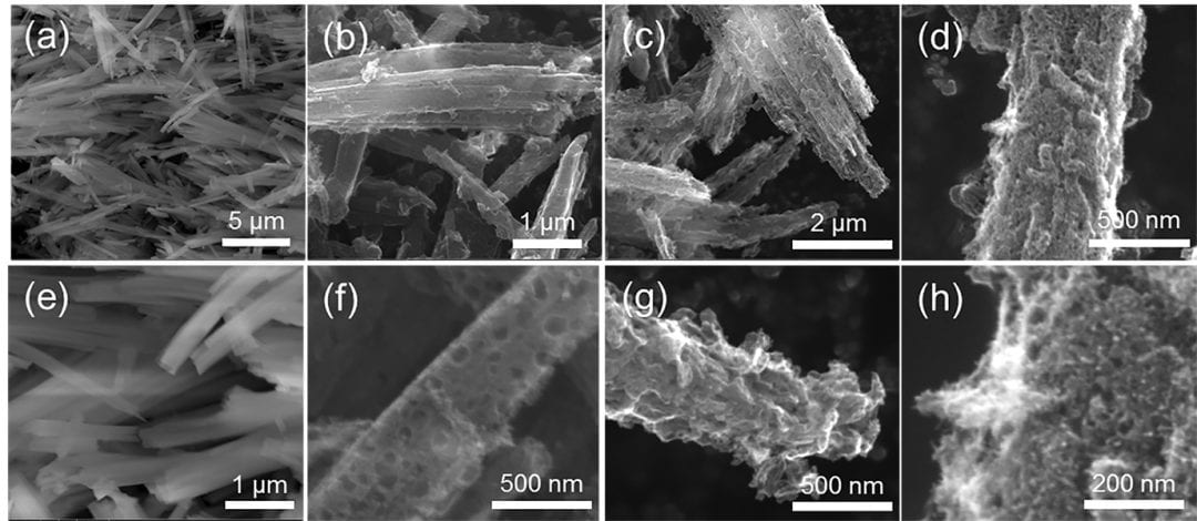 Highly Efficient 1D Carbon Catalyst