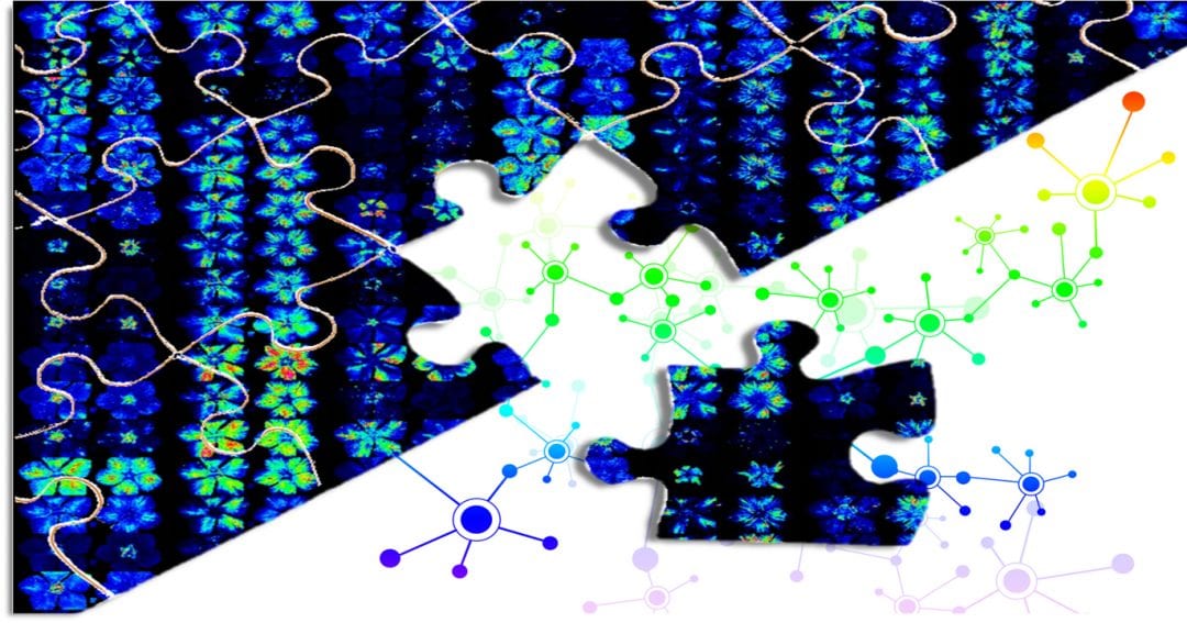 Imaging Mass Spectrometry for Metabolites of Biological Interactions