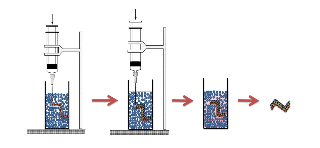 Supportive Soft Tissue Manufacture