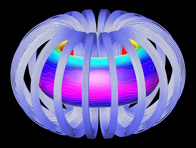 Surface Plasmon Polariton Amplification Mechanism