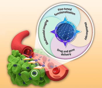 2D Nanomaterials for Cancer Therapeutic Platforms