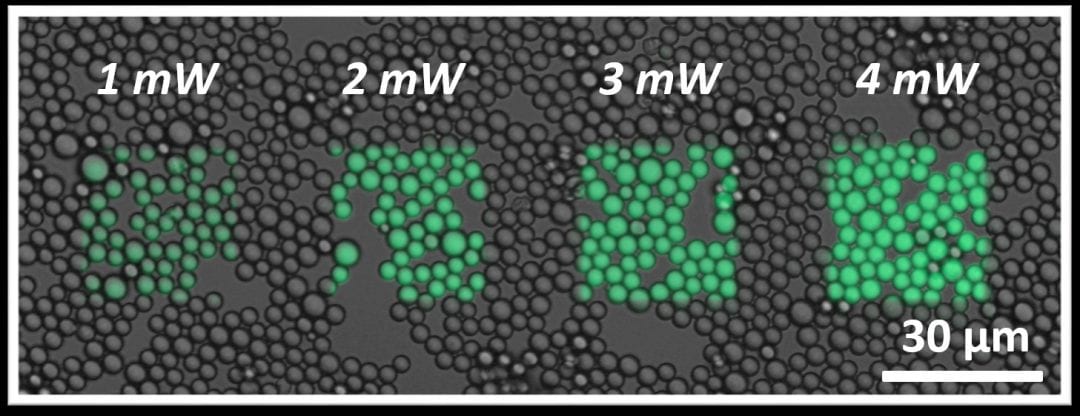 Precision Functionalisation of Polymeric Microparticles