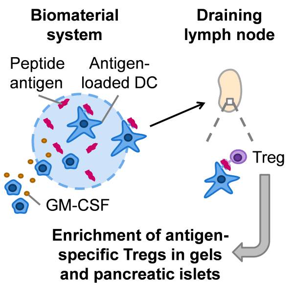 Hydrogels for Immunotherapy